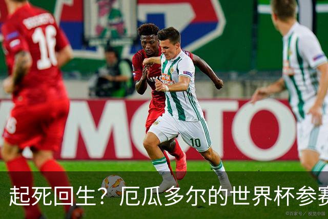 起死回生？厄瓜多尔的世界杯参赛名额可能给意大利